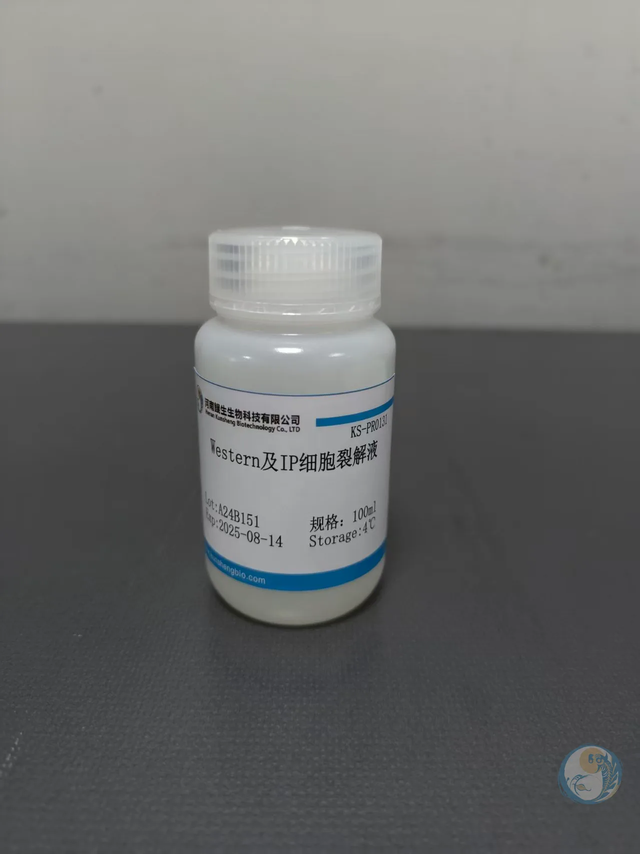 Western及IP细胞裂解液