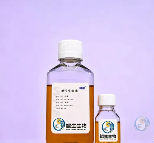 新生牛血清 (特级)