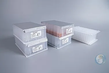 病毒DNA提取试剂盒